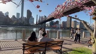 Roosevelt Island in Spring