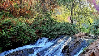 Hidden Falls| Auburn, Ca