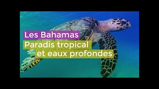 Les Bahamas un Paradis Tropical: Eaux Profondes Documentaire HD