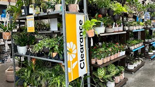 SHOPPING AT LOWES FOR CLEARANCE HOUSEPLANTS🪴EXOTIC PLANTS STARTING AT $1🤑🛒