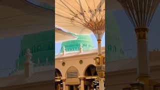 Assalam O Alaika Ya Rasoolallah #masjidnabawi #rozaerasool #rozamubarak #riazuljannah #youtubeshorts