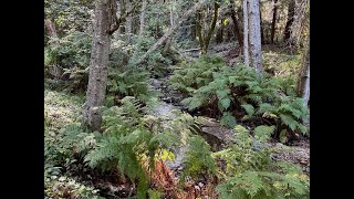 Glen Deven Big Sur Hike