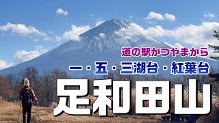 【足和田山】湖と大きな富士山を眺める縦走路。一・五・三湖台から紅葉台へ【シニア夫婦のゆる登山日記No96】