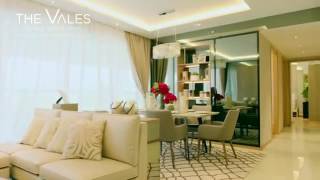 The Vales Chinese Marketing Video