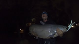 Possibly the BIGGEST Blue Catfish caught from bank on Youtube!! (81lbs!!!)