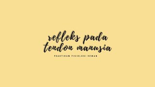 [PRAKTIKUM FISIOLOGI HEWAN] Refleks Pada Tendon Manusia