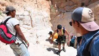 Ein Gedi Nahal David Judean Desert Israel.