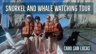 Snorkel Tour with Whale Watching Cabo