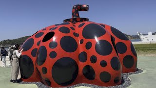 Red Pumpkin Sculpture by Yayoi Kusama [1080p60h HDR]