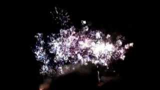 Cranleigh Fireworks 2012 (part 1/2).mp4