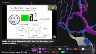 Build-a-Cell -- seminar Norikazu ICHIHASHI: Toward life-like systems through Darwinian evolution