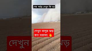 দেখুন 👉 প্রানঘাতী বালুর ঝড়ে মরুভূমি #shorts