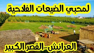 الضيعة النموذجية اللوكوس🌱طريفة وسط الفيديو❗باقي الخير فالدنيا♥️#vlog #routine #family