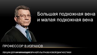 Большая подкожная вена и малая подкожная вена