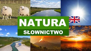 Learn Polish Vocabulary - Nature 11 (Natura)