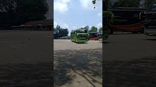 BUS PAHALA KENCANA DAN GUNUNG HARTA #pahalakencana #gunungharta #shorts