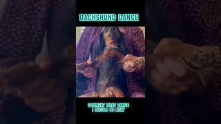 Dachshund dance 🪩#dachshund #dog #dance #fyp #viral #trending #shorts ￼