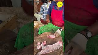 KASIMEDU SPEED SELVAM GROPPER FISH CUTTING VIDEO / cutting focus #kasimeduselvam #bigfishcutting