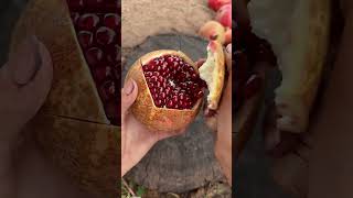 Cutting skill sweet pomegranate so satisfying #fresh #fruitcutting #satisfying