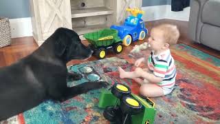 Cutest Babies Play With Dogs And Cats Compilation 2 | Funny babies And Dog Compilation