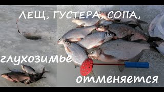 Рыбалка/Ока/Февраль/20.02.2022/работают только вертолёты! 5кг за 3ч.