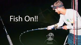 Lake Pleasant Arizona Fishing! Tons of Fish Species!