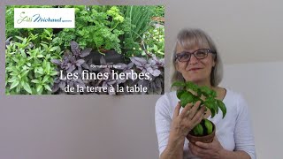 Les fines herbes de la terre à la table (formation en ligne)