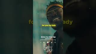 Before you wake up - Adekunle Gold (LYRICS)