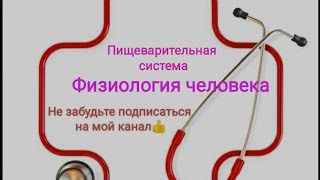 Физиология желудочно кишечного тракта. Двигательная функция.