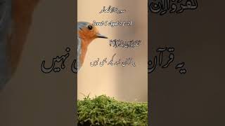 Sorah Al Inaam ( سورہ الانعام) Verse 24- 28 Urdu Tarjuma || #allah #quran #islamicshorts #islamic