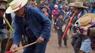 Fiesta la Gruta de los Arrieros 2024. La procesión