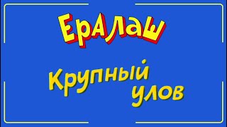 Рыбалка Приколы | Крупный Улов