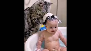 KEDİ BEBEĞE BANYO YAPTIRIRSA NE OLUR CAT HAVING BABY TAKE A BATH