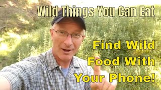 Find Wild Edible Foods With Your Phone