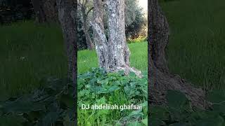 دوار تازغادرة الرائع#شعبي #الغيضة #cha3bi #cha3bi_marocain #الهيت #cover #music