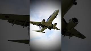 Best Landing Video Of An Aircraft #Aviation #Shorts