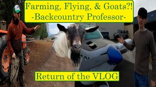 Have we gone crazy? Farming, Flying the Grumman, & Picking up our Homestead Goat🐐s?😅