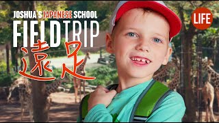 Joshua's Japanese School Field Trip | Life in Japan Episode 232