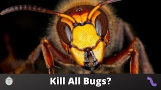 What if We Killed All Bugs?