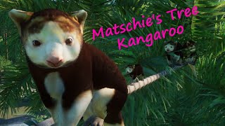 Matschie's Tree Kangaroo by Leaf and NicholasLionRider - Planet Zoo Mod