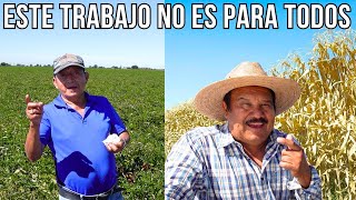 Lo que Nadie te había Contado de TRABAJAR EN LA AGRICULTURA