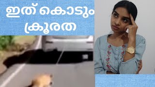 ഇത് കൊടും ക്രൂരത | For all those who are planning to have a pet dog | Malayalam | Minnu Mariya