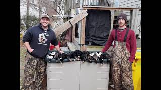 Sea duck hunting the Chesapeake Bay