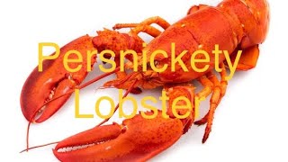 Persnickety Lobster 🦞 - Original Song by Judge Timbers