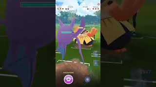 🟣Purple colour team in Ultra League Pokemon Go India 🇮🇳🇮🇳🇮🇳