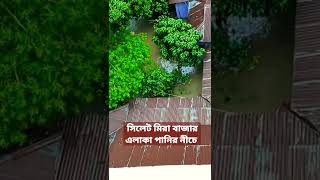 সিলেট মিরা বাজার এলাকায় বন্যার পানিতে তলিয়ে থাকার ভিডিও | Sylhet Mira Bazar Under Water