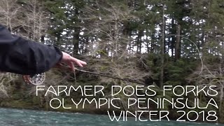 Farmer Does Forks Olympic Peninsula Winter 2018