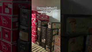 Dragon fruit cold storage #dragonfruit #coldstorage #farming #oraganic