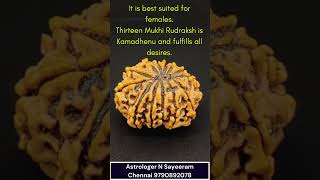 13 Mukhi Rudraksha – 13 Faced Rudraksha #rudraksha