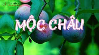 Khám phá Du lịch Mộc Châu từ A-Z